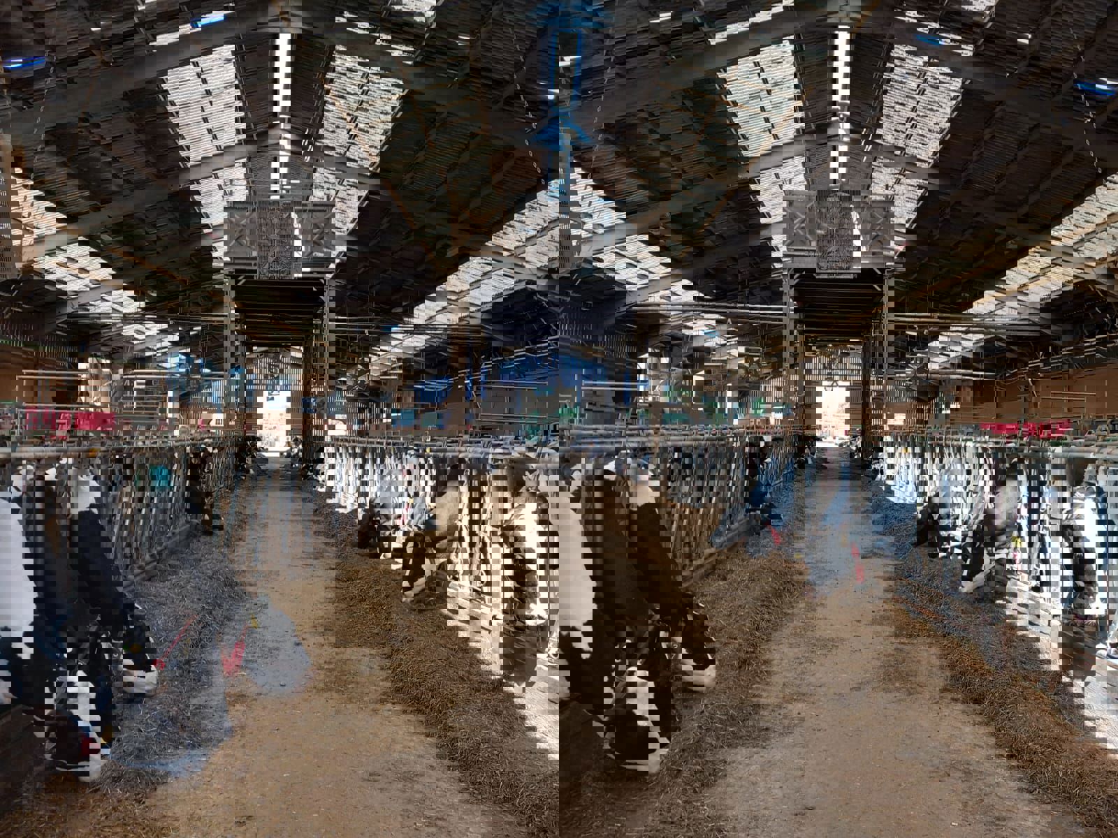 Brown&Co co-organises Ambassador visit to Cambridge University Farm to Showcase Innovation and Opportunities for Global Collaboration