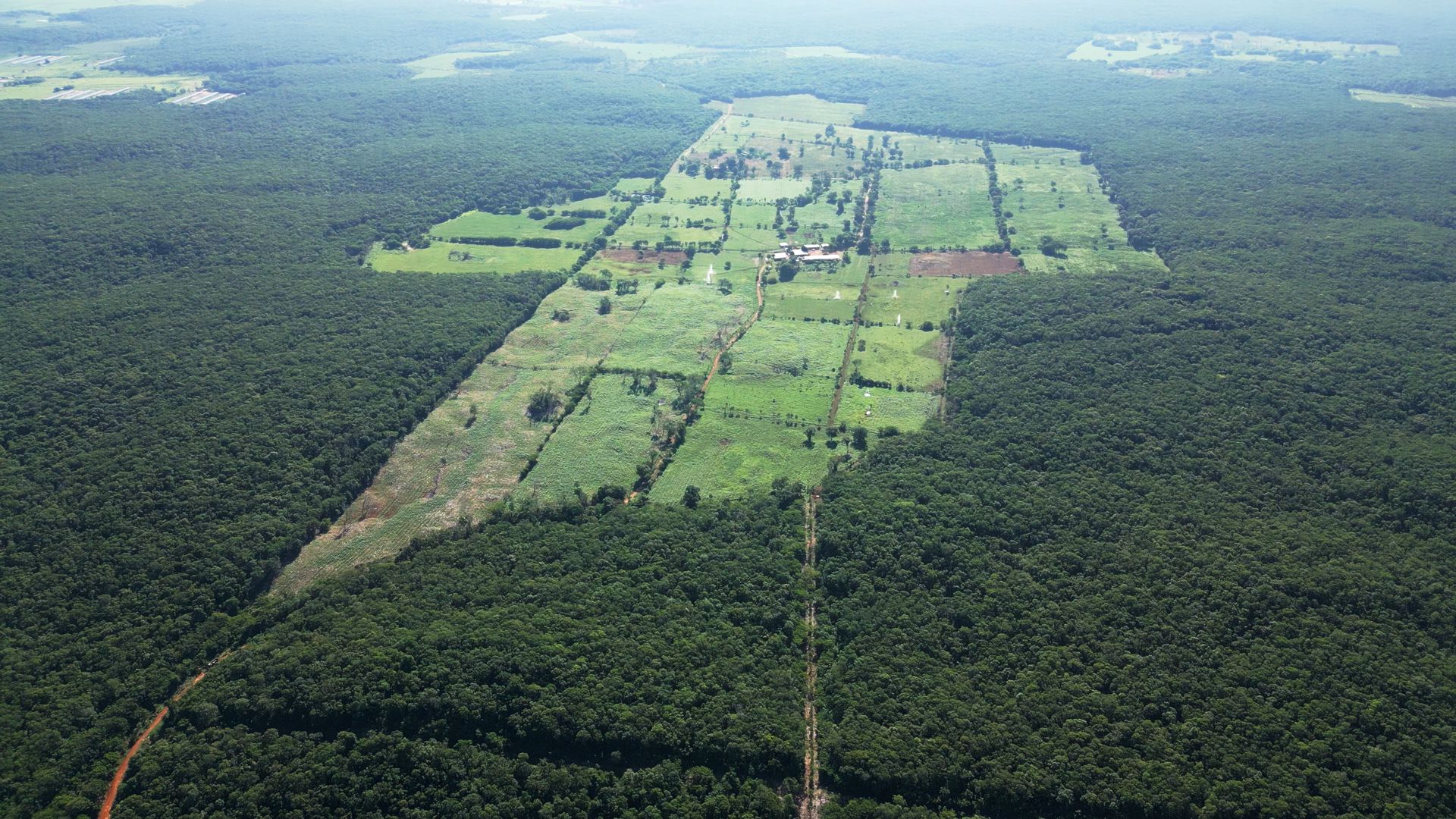 New collaboration sees Brown&Co increase its reach for clients